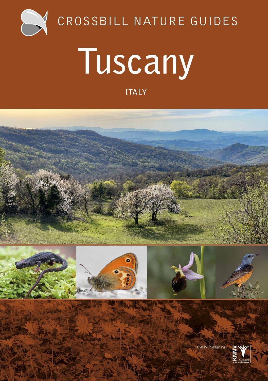 Cover: 9789491648342 | Tuscany | Italy | Graham Chisholm | Taschenbuch | Crossbill Guides