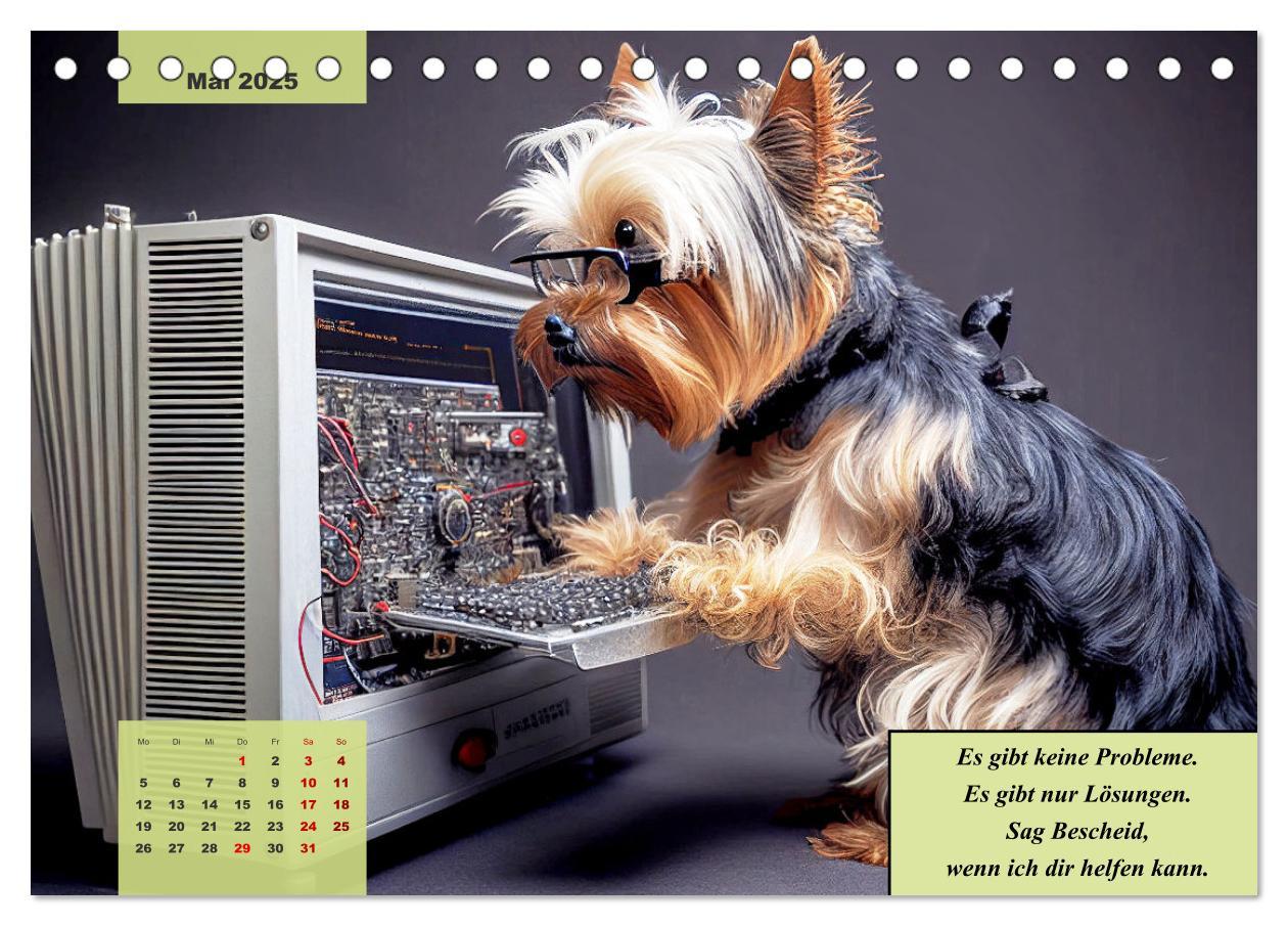 Bild: 9783383876707 | Der humoristische Yorkshire Terrier Kalender (Tischkalender 2025...