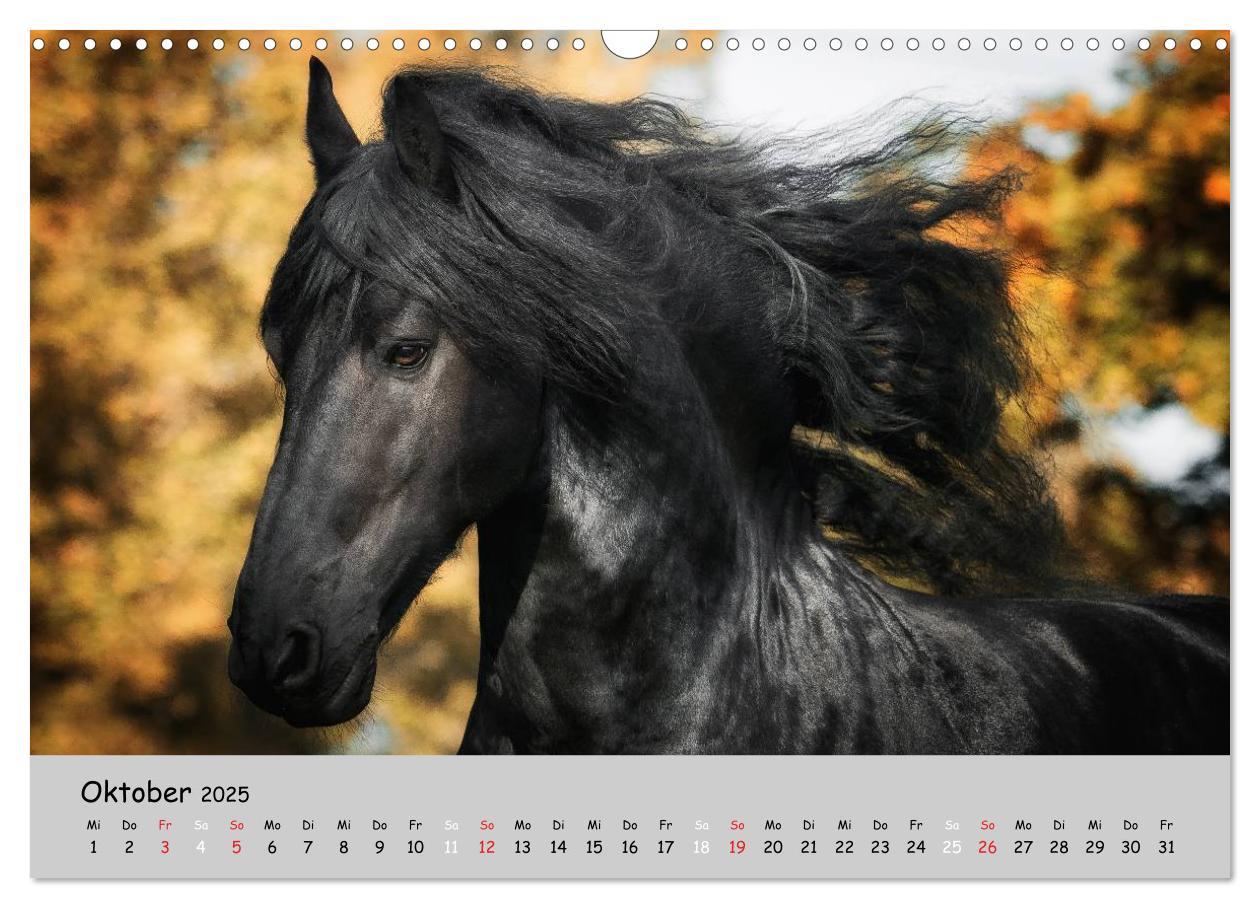 Bild: 9783435563371 | Pferde - Anmut und Stärke gepaart mit Magie (Wandkalender 2025 DIN...