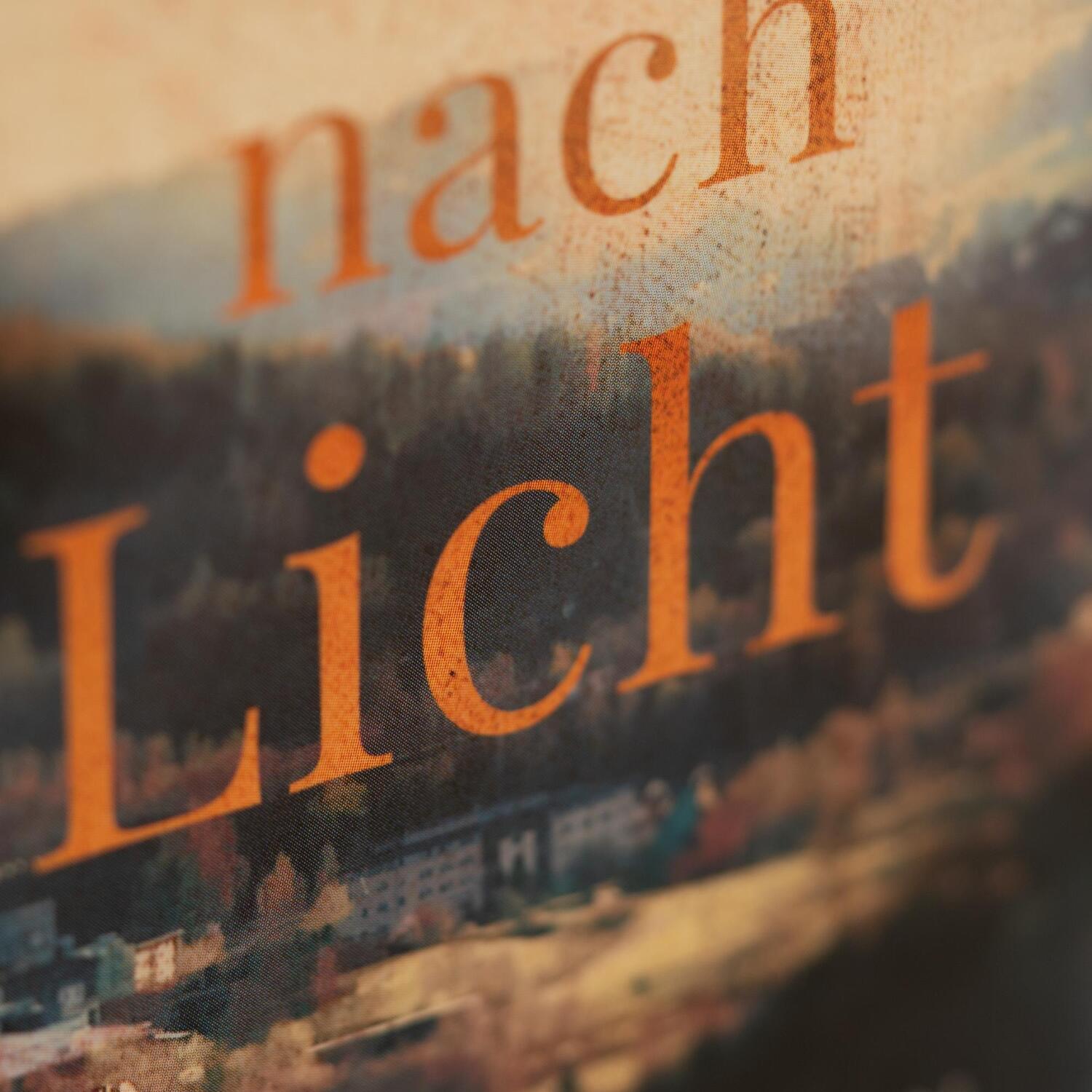 Bild: 9783365001172 | Die Sehnsucht nach Licht | Kati Naumann | Buch | 416 S. | Deutsch