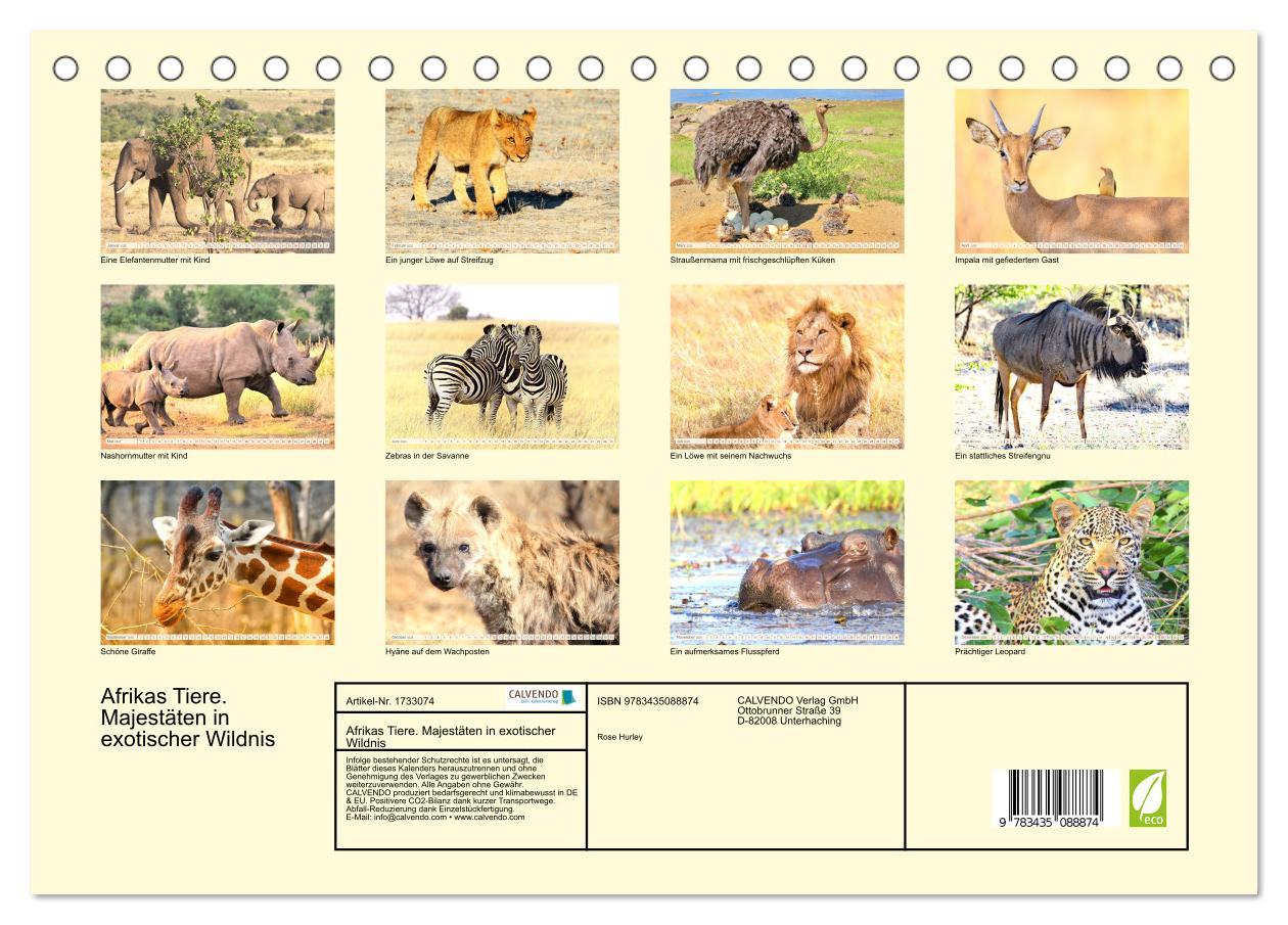 Bild: 9783435088874 | Afrikas Tiere. Majestäten in exotischer Wildnis (Tischkalender 2025...