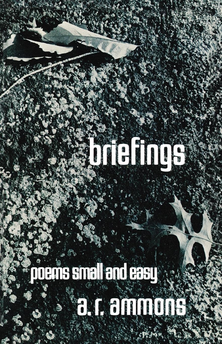 Cover: 9780393043266 | Briefings | Poems Small and Easy | A. R. Ammons | Taschenbuch