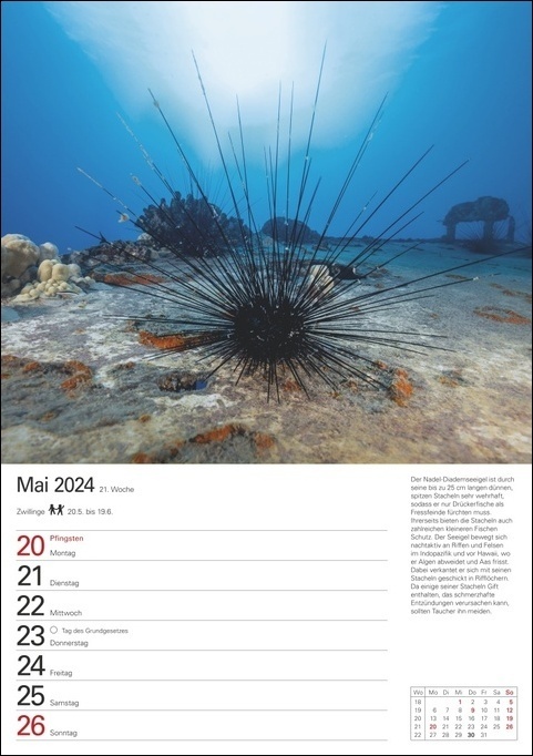 Bild: 9783840033186 | Wunder der Meere Wochenplaner 2024. Ein Wand-Kalender 2024 zum...