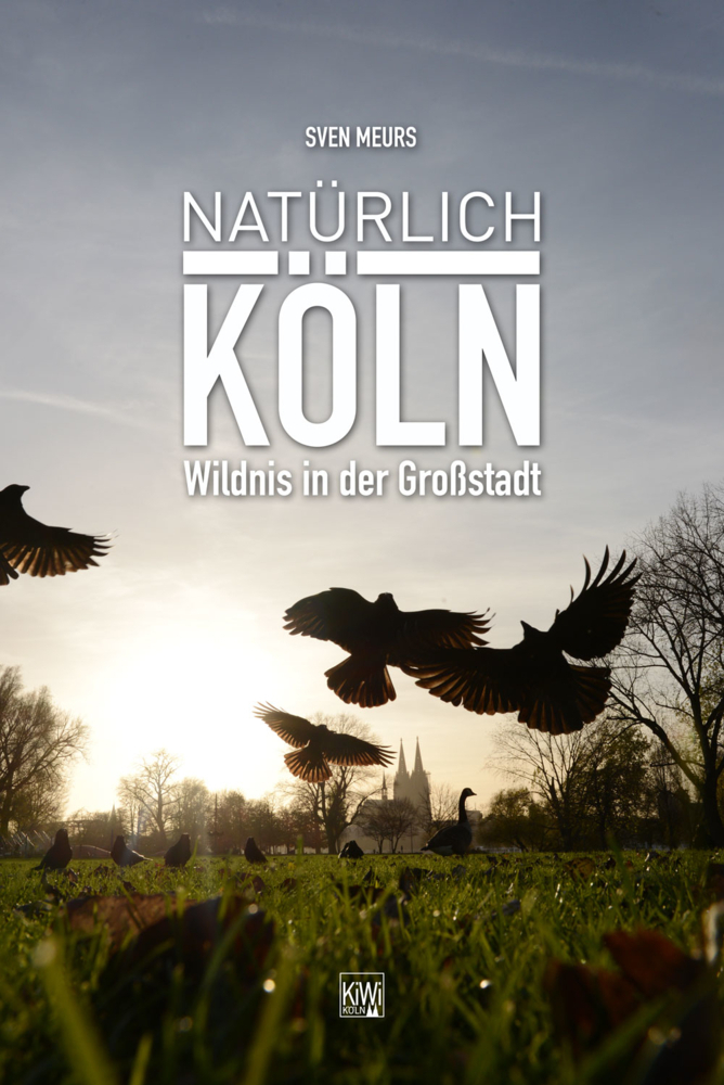 Cover: 9783462038460 | Natürlich Köln | Wildnis in der Großstadt | Sven Meurs | Taschenbuch
