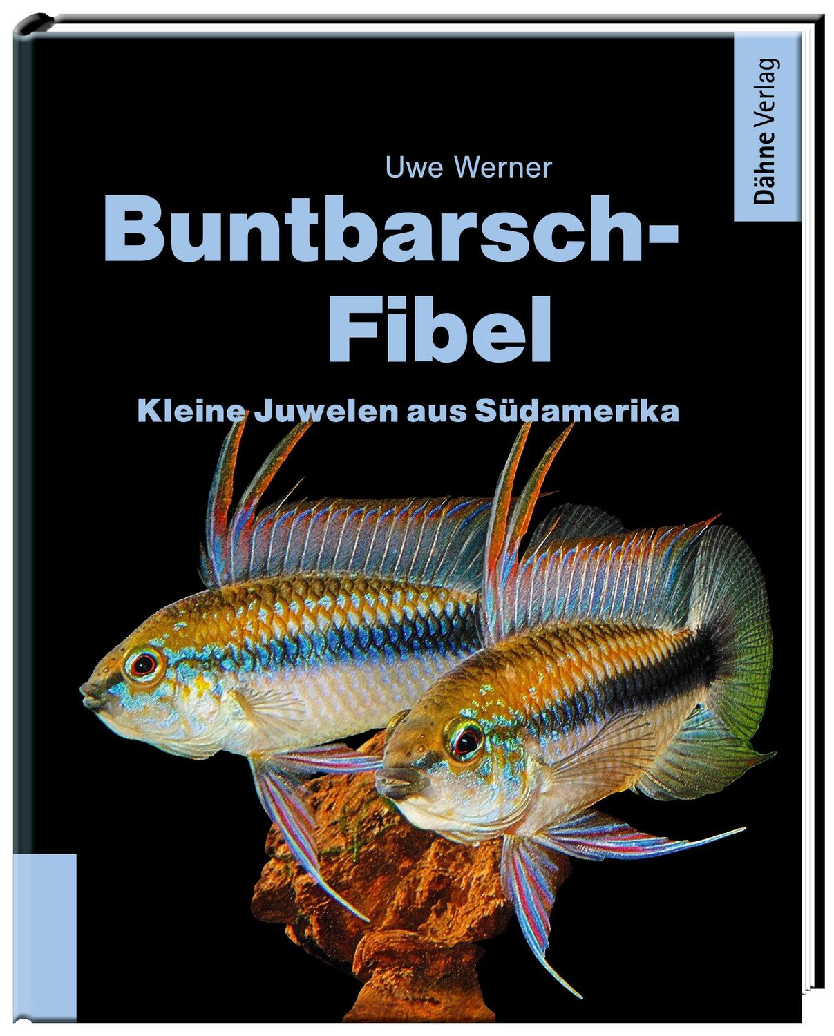 Cover: 9783944821405 | Buntbarsch-Fibel Südamerika | Kleine Juwelen aus Südamerika | Werner