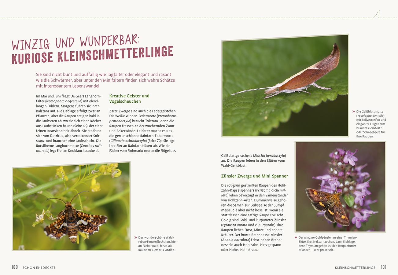 Bild: 9783818623906 | Richtig gute Pflanzen für Insekten | Elke Schwarzer | Taschenbuch