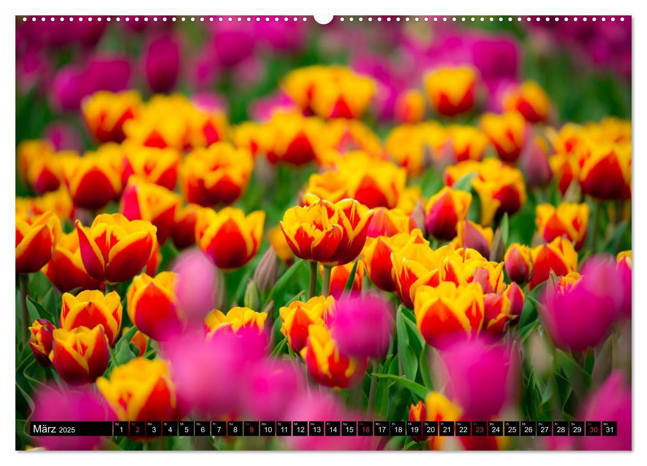 Bild: 9783435226412 | Kleine Blumen ganz groß (hochwertiger Premium Wandkalender 2025 DIN...