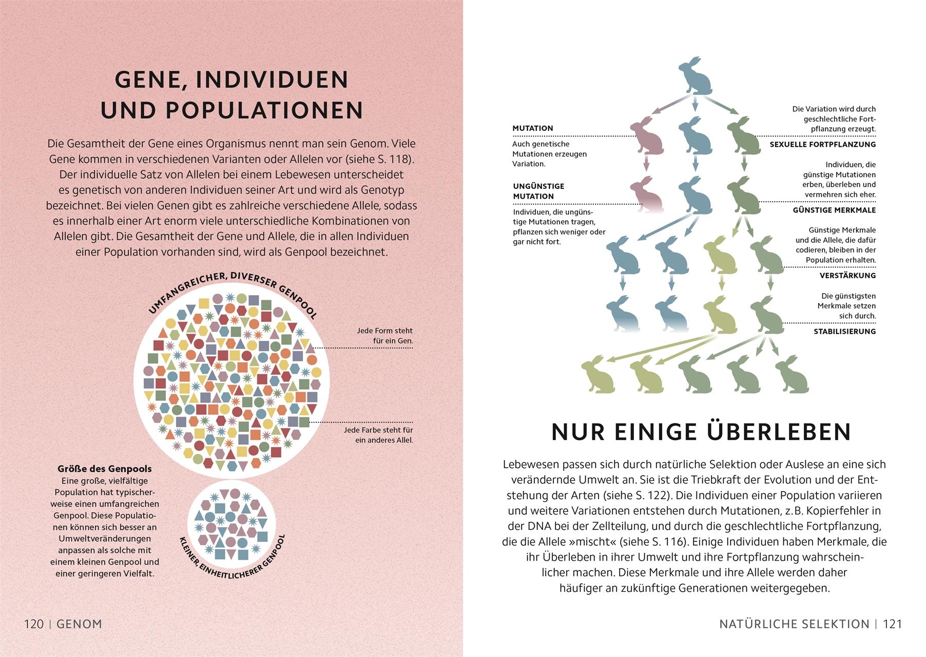 Bild: 9783831050529 | SIMPLY. Naturwissenschaft | Jack Challoner (u. a.) | Buch | 160 S.