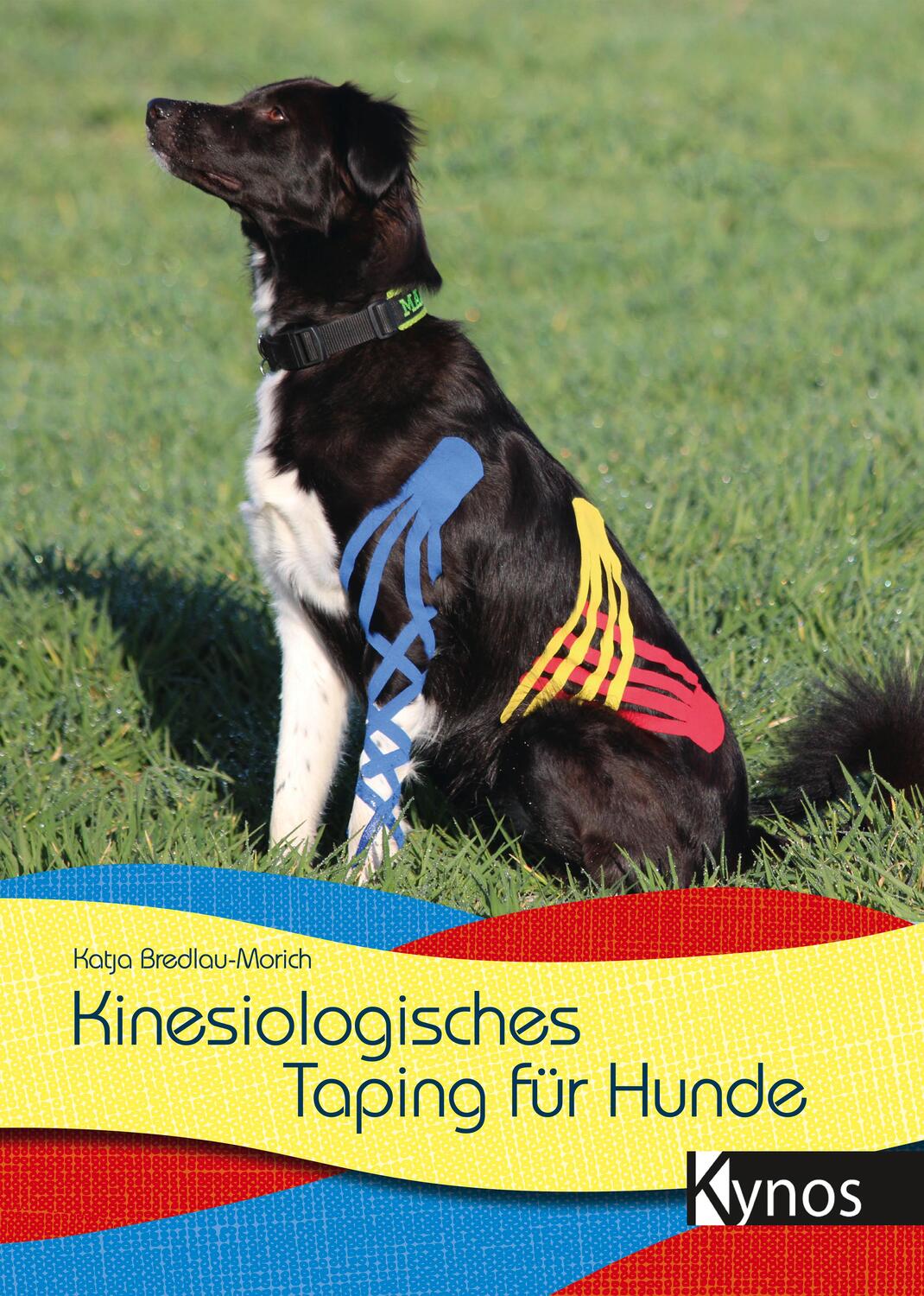 Cover: 9783954642793 | Kinesiologisches Taping für Hunde | Katja Bredlau-Morich | Taschenbuch