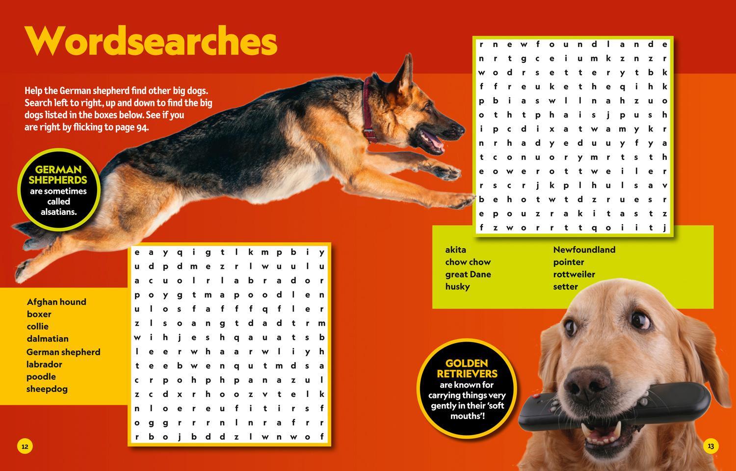 Bild: 9780008430498 | Puzzle Book Dogs | National Geographic Kids | Taschenbuch | Englisch