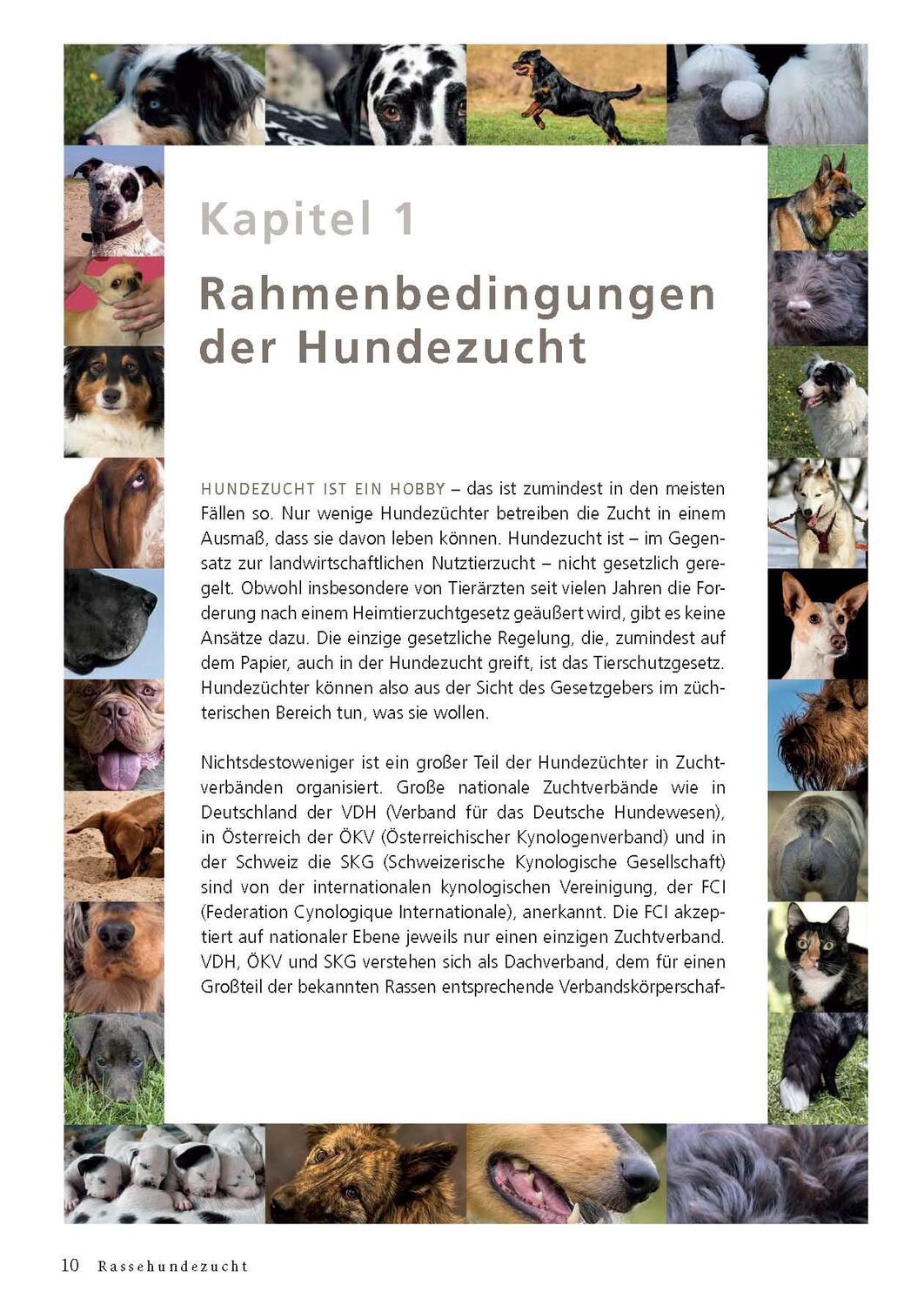 Bild: 9783275023110 | Rassehundezucht | Genetik für Züchter und Halter | Sommerfeld-Stur