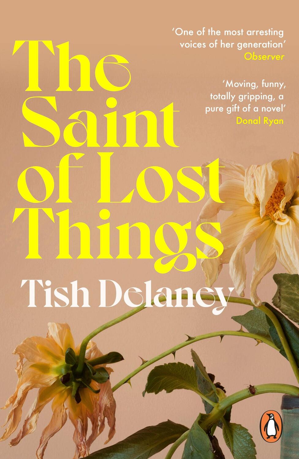 Cover: 9781529158687 | The Saint of Lost Things | A Guardian Summer Read | Tish Delaney