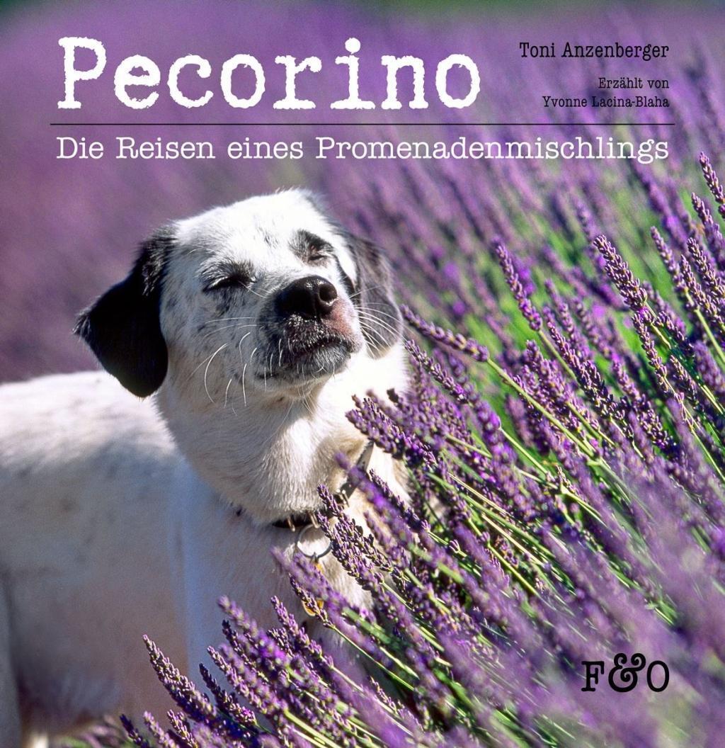 Cover: 9783956930256 | Pecorino | Die Reisen eines Promenadenmischlings | Yvonne Lacina-Blaha
