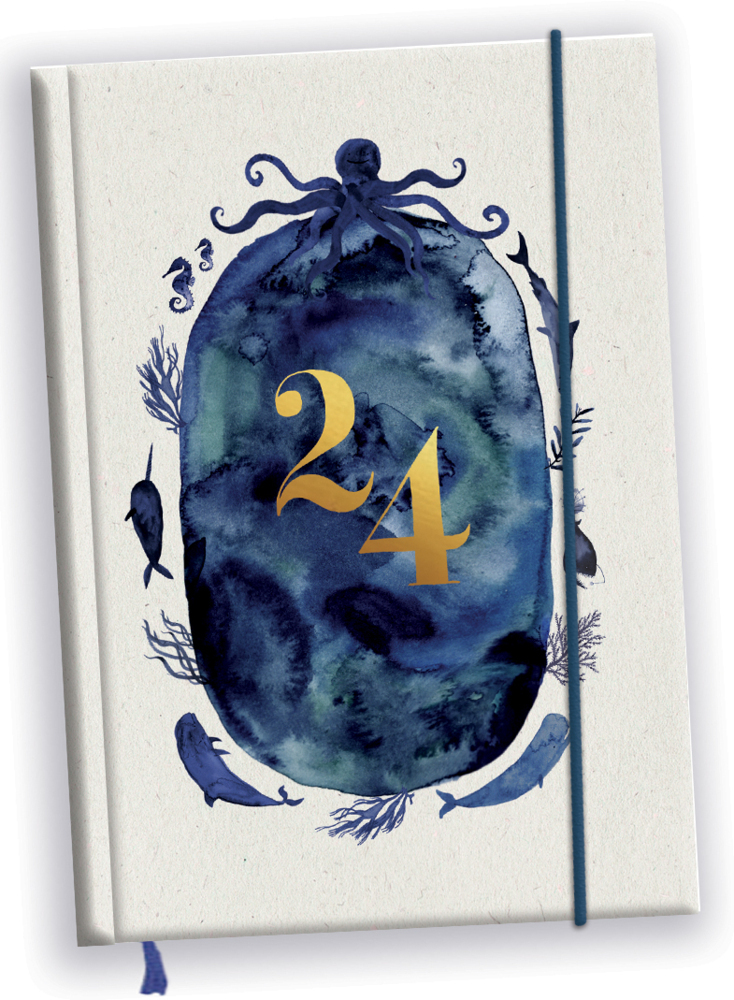 Cover: 9783948904500 | Taschenkalender 2024 | Wale und Meer | Jenny Boidol | Buch | 176 S.