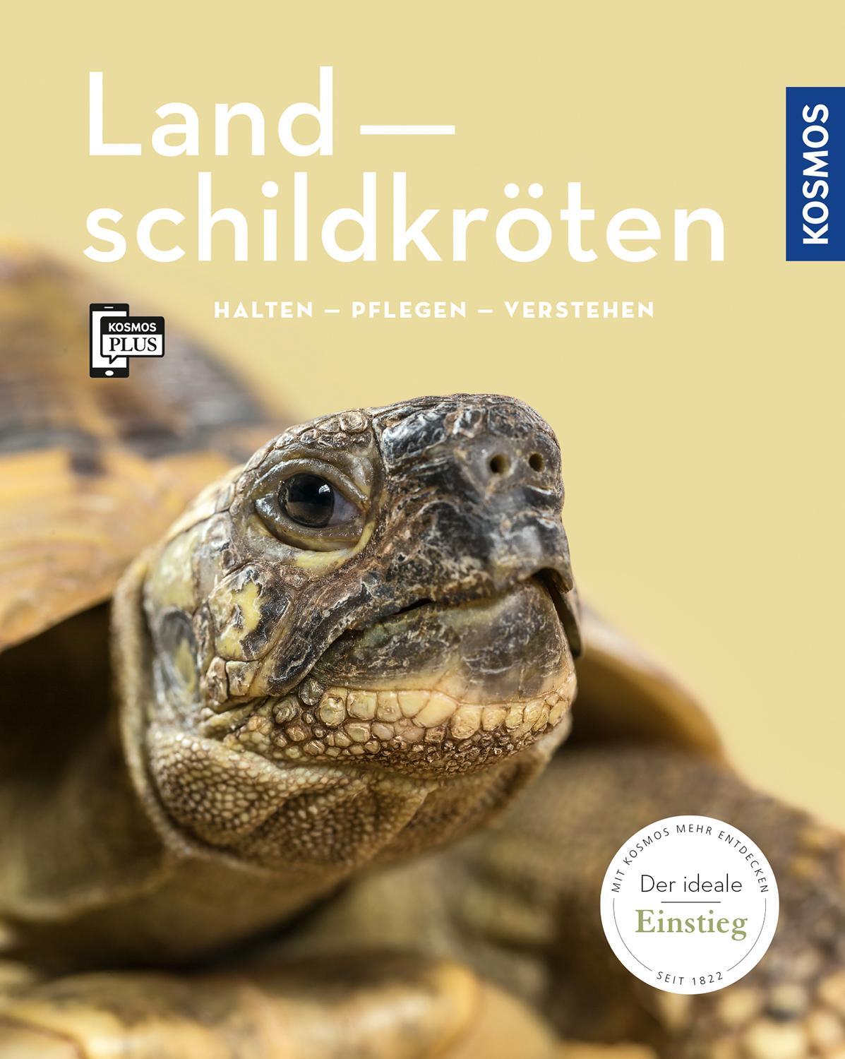 Cover: 9783440157480 | Landschildkröten | halten, pflegen, verstehen | Manfred Rogner | Buch