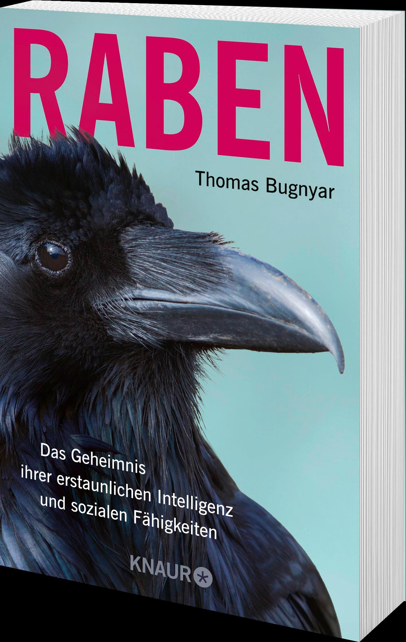 Bild: 9783426448984 | Raben | Thomas Bugnyar | Taschenbuch | 240 S. | Deutsch | 2024