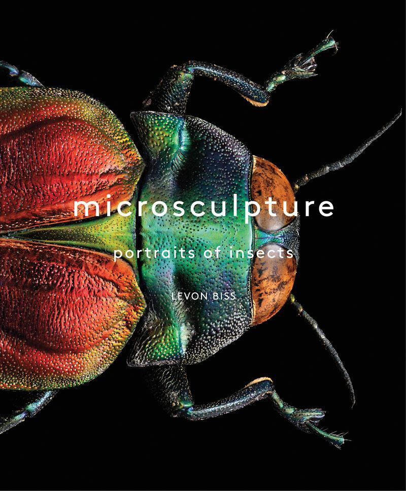 Cover: 9781419726958 | Microsculpture | Portraits of Insects | Levon Biss | Buch | Englisch