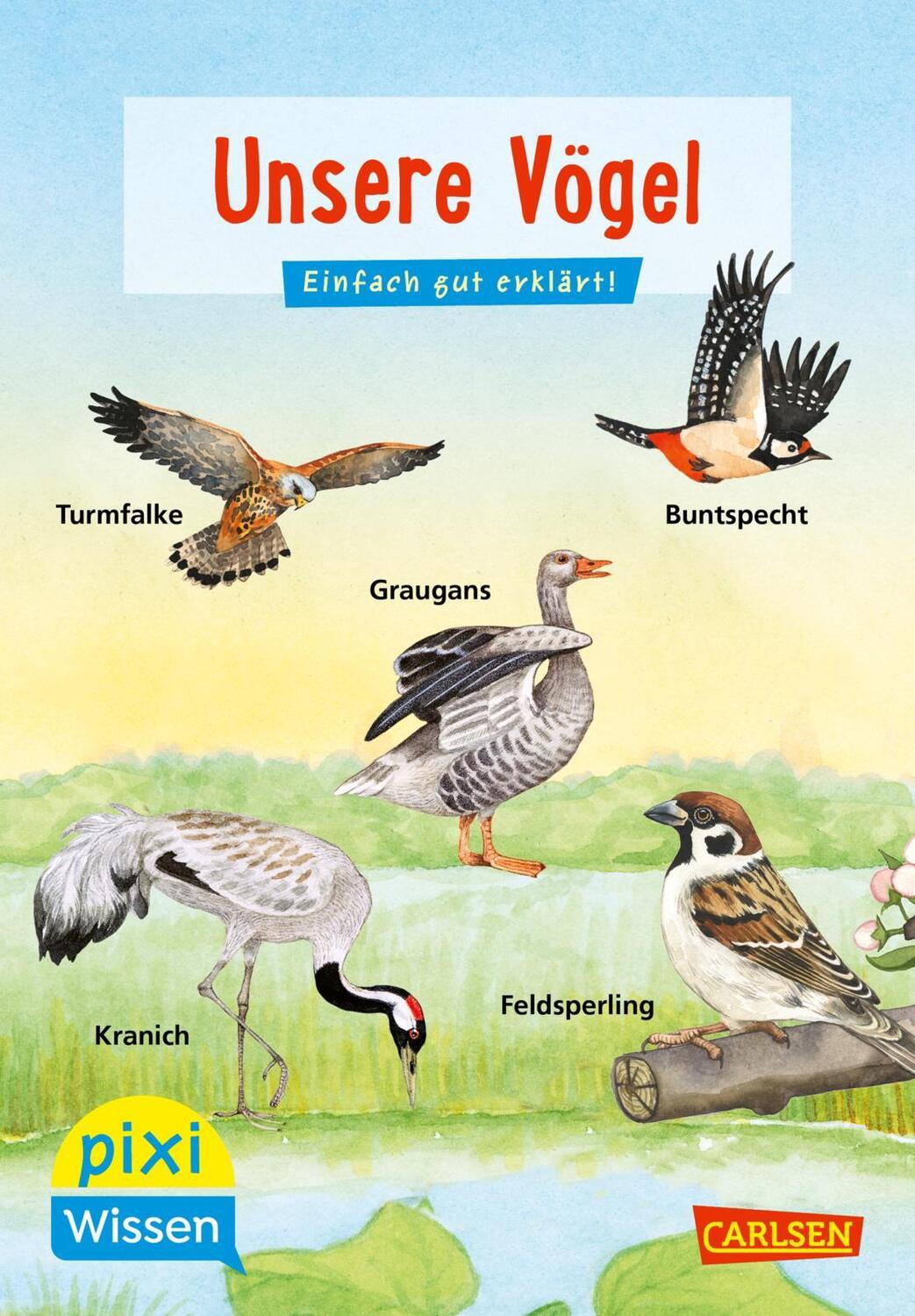 Cover: 9783551231659 | Pixi Wissen 108: VE 5 Unsere Vögel (5 Exemplare) | Einfach gut erklärt