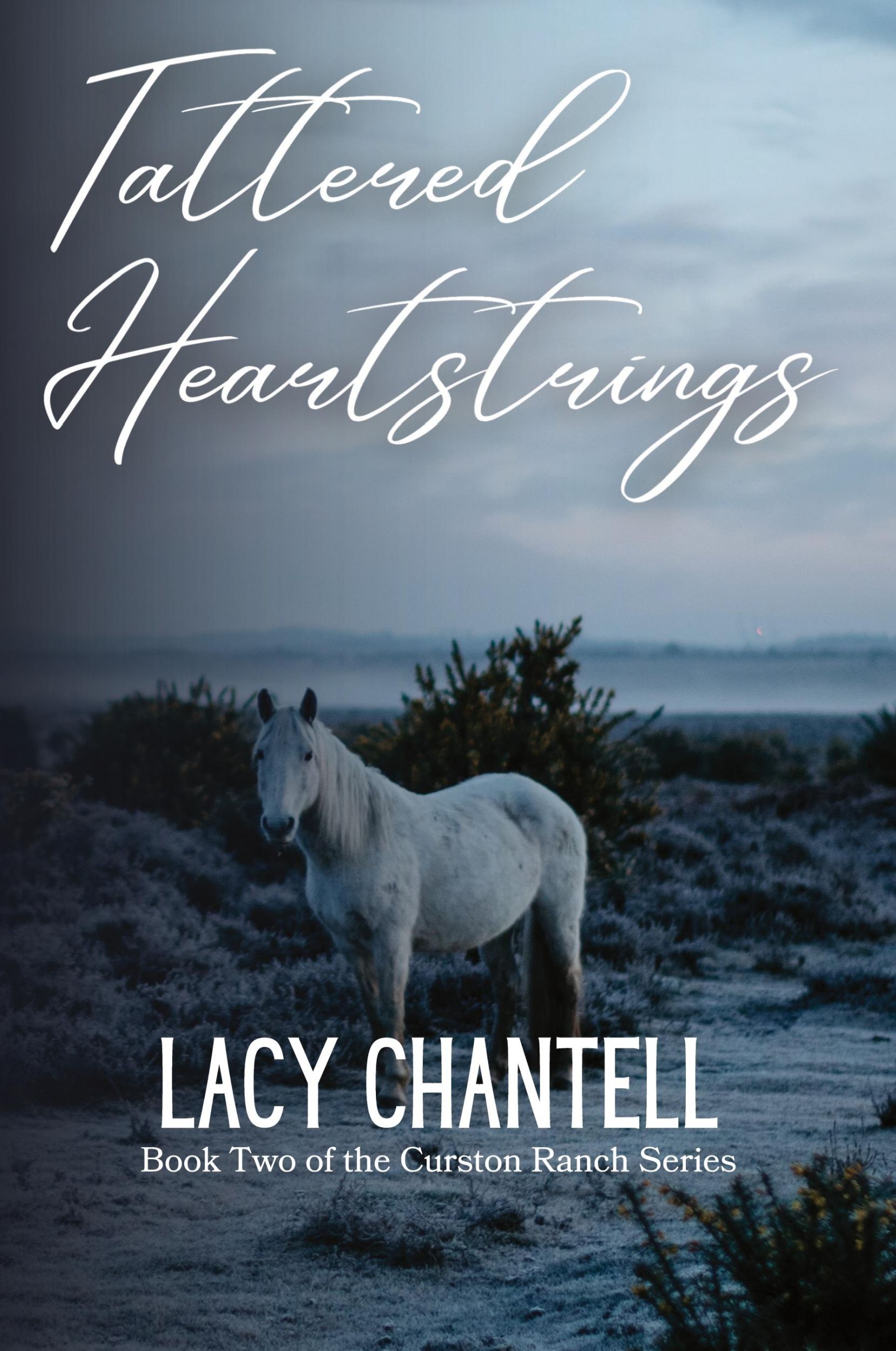 Cover: 9781088210376 | Tattered Heartstrings | Lacy Chantell | Taschenbuch | Englisch | 2023