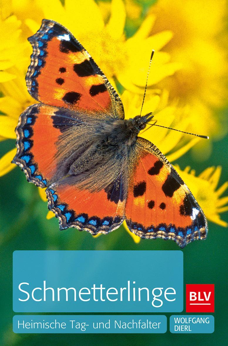 Cover: 9783835406797 | Schmetterlinge | Heimische Tag- und Nachtfalter | Wolfgang Dierl | BLV
