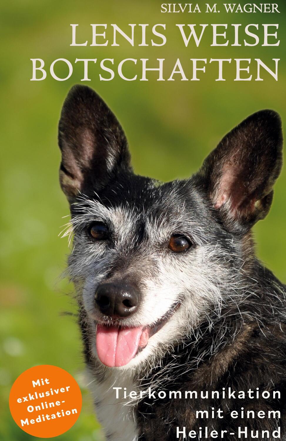 Cover: 9783384069283 | Lenis weise Botschaften | Tierkommunikation mit einem Heiler-Hund