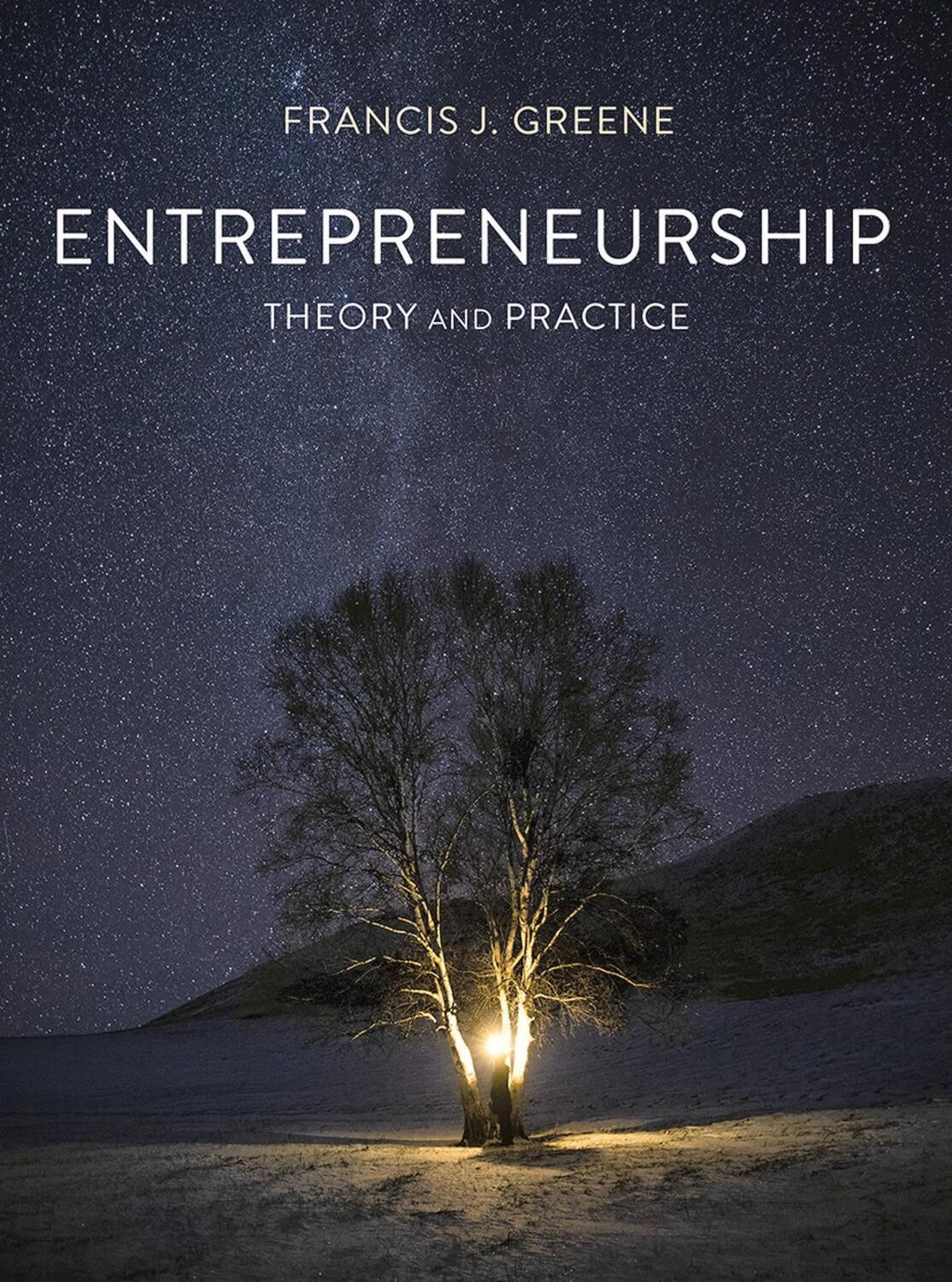 Cover: 9781137589552 | Entrepreneurship Theory and Practice | Francis J. Greene | Taschenbuch