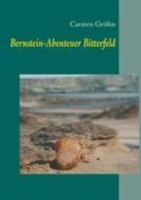 Cover: 9783839115800 | Bernstein-Abenteuer Bitterfeld | Carsten Gröhn | Buch | 152 S. | 2010
