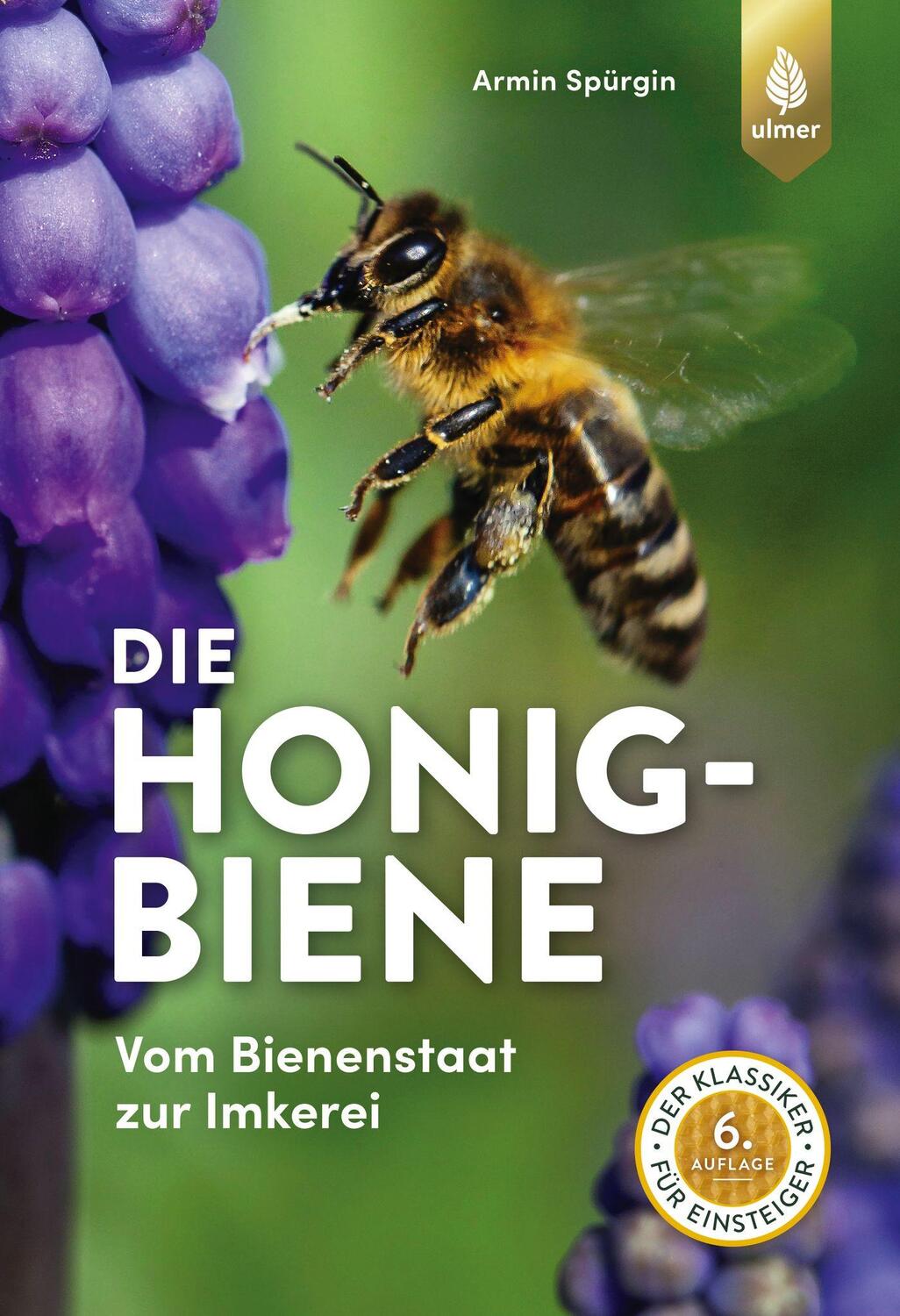 Cover: 9783818609740 | Die Honigbiene | Armin Spürgin | Taschenbuch | Deutsch | 2020