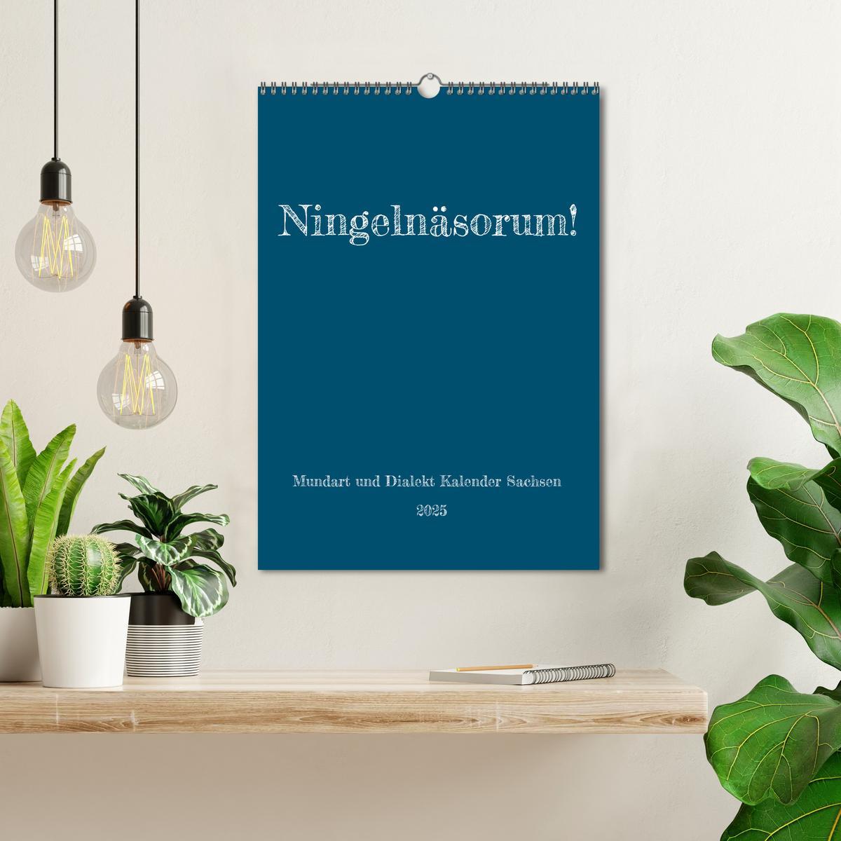 Bild: 9783435897629 | Ningelnäsorum! Mundart und Dialekt Kalender Sachsen (Wandkalender...