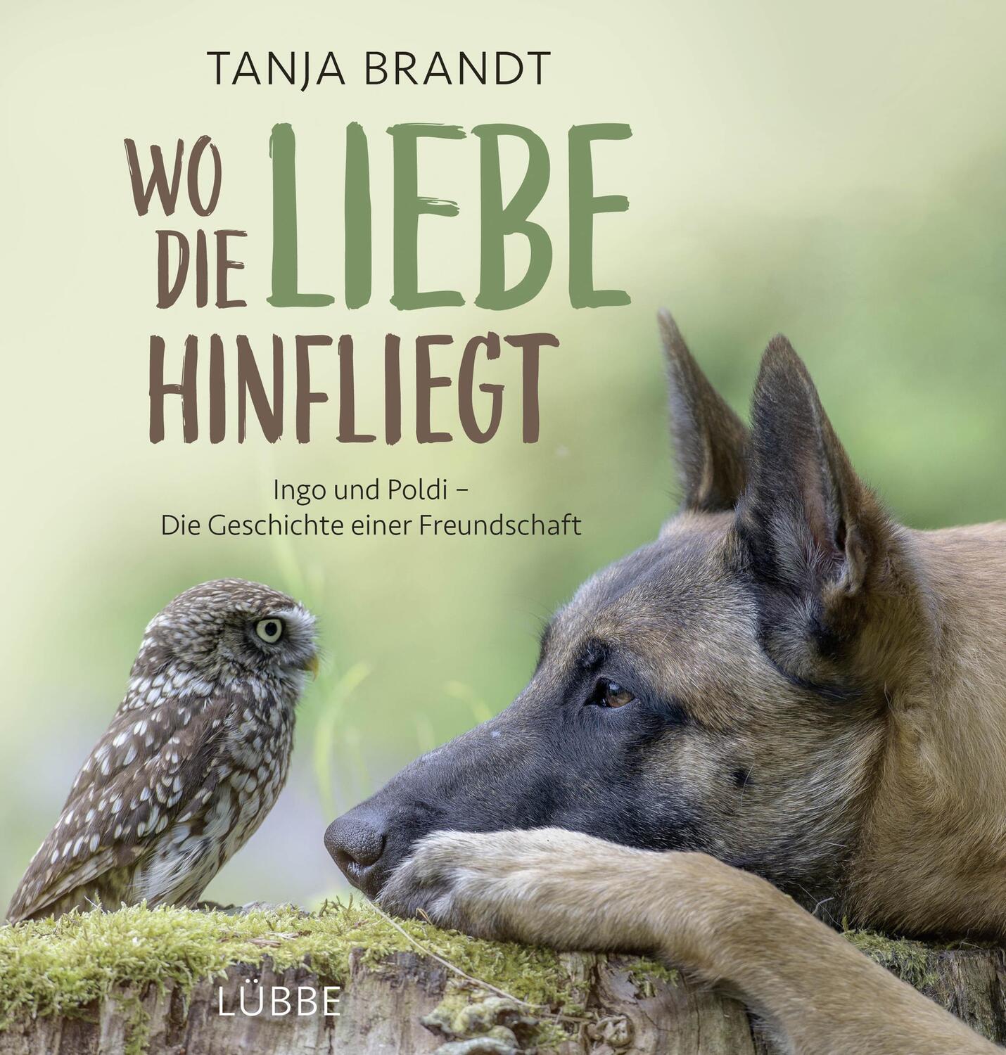 Cover: 9783431039696 | Wo die Liebe hinfliegt | Tanja Brandt | Buch | 160 S. | Deutsch | 2016