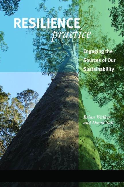 Cover: 9781597268011 | Resilience Practice | Brian Walker (u. a.) | Taschenbuch | Englisch