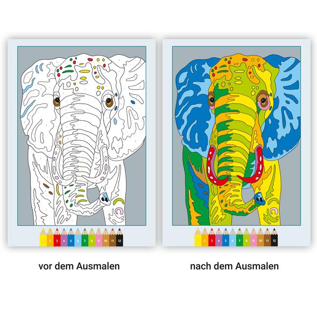 Bild: 9783473489121 | Ravensburger CreArt Malen nach Zahlen ab 7: Wilde Tiere, Malbuch,...