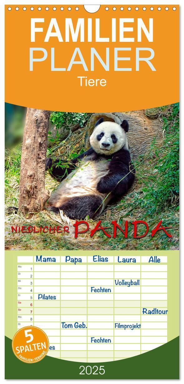 Cover: 9783457116166 | Familienplaner 2025 - Niedlicher Panda mit 5 Spalten (Wandkalender,...