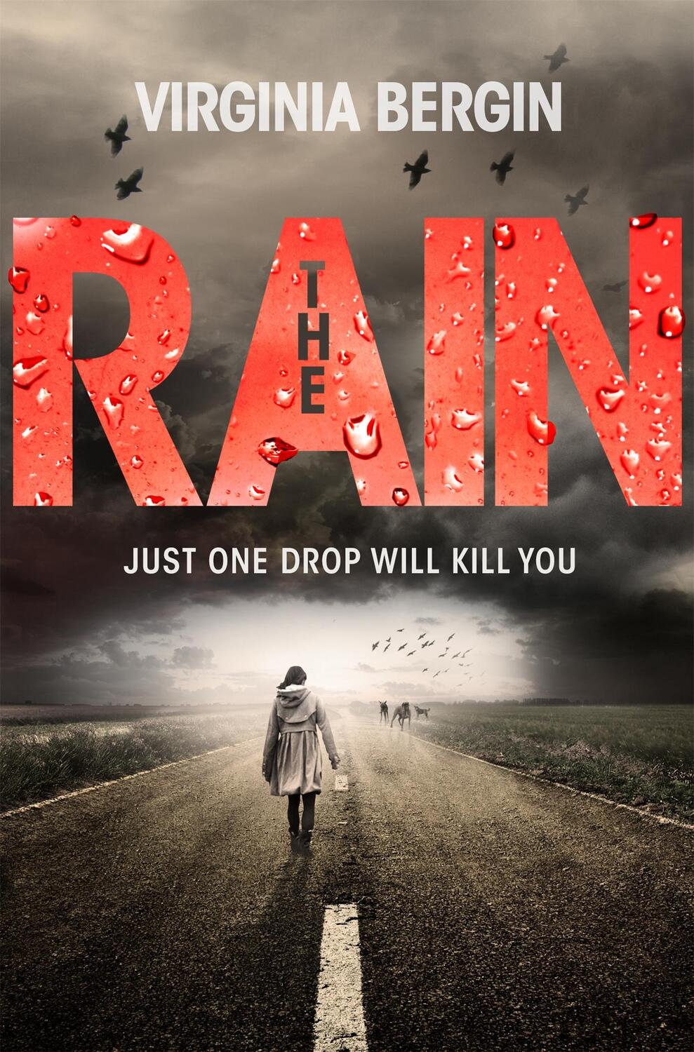 Cover: 9781447266068 | The Rain | Virginia Bergin | Taschenbuch | Englisch | 2014
