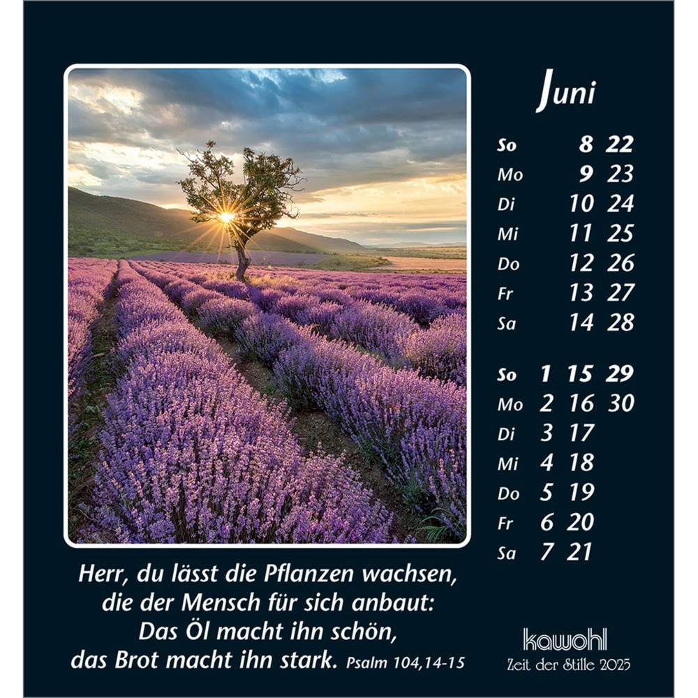 Bild: 9783754880050 | Zeit der Stille 2025 | Kalender | Spiralbindung. Spiralbindung | 15 S.