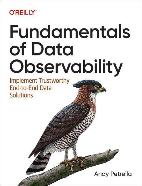 Cover: 9781098133290 | Fundamentals of Data Observability | Andy Petrella | Taschenbuch