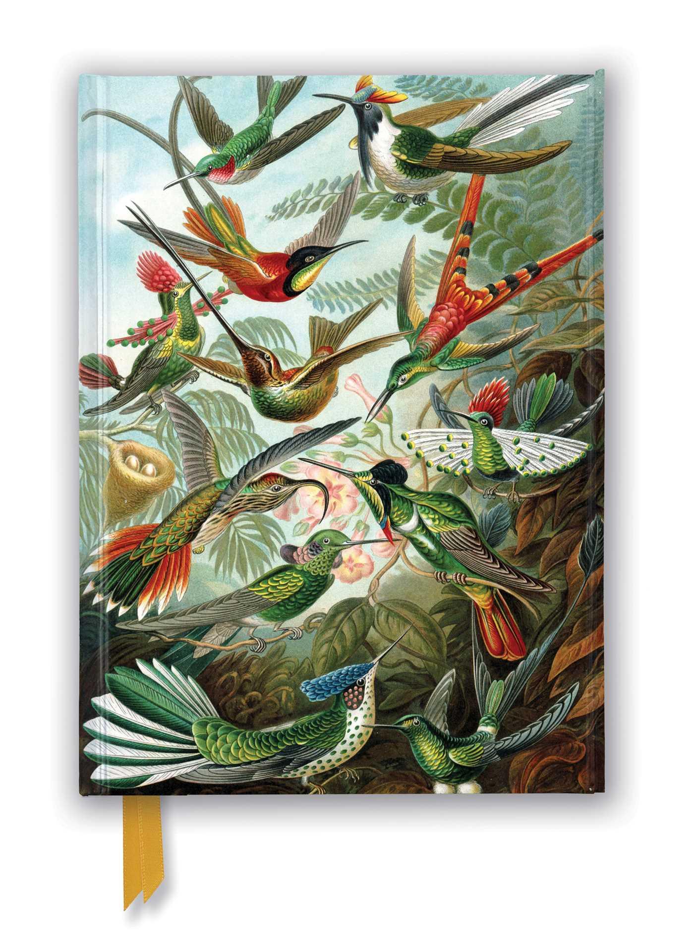 Cover: 9781839648953 | Ernst Haeckel: Hummingbirds (Foiled Journal) | Flame Tree Publishing