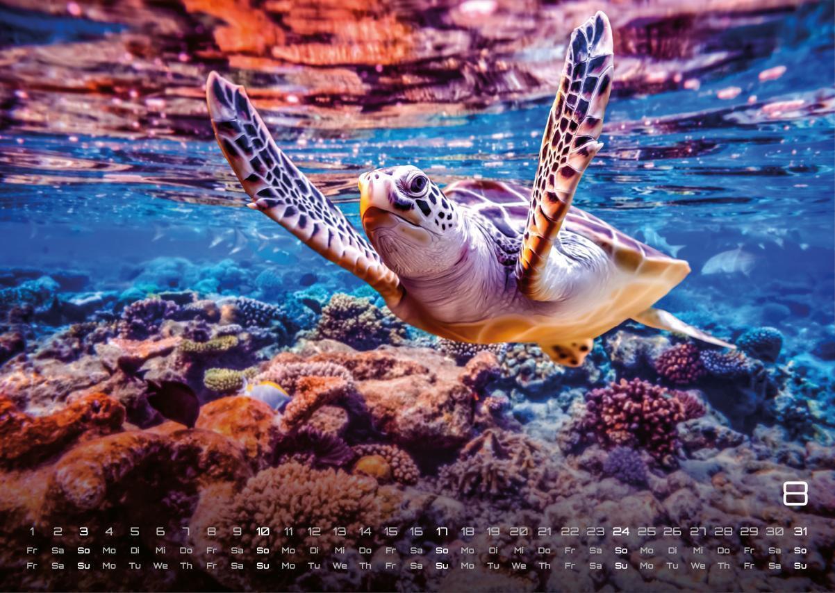 Bild: 9783986734305 | Sealife - verborgene Tiefen - 2025 - Kalender DIN A3 | GP-Fever. de