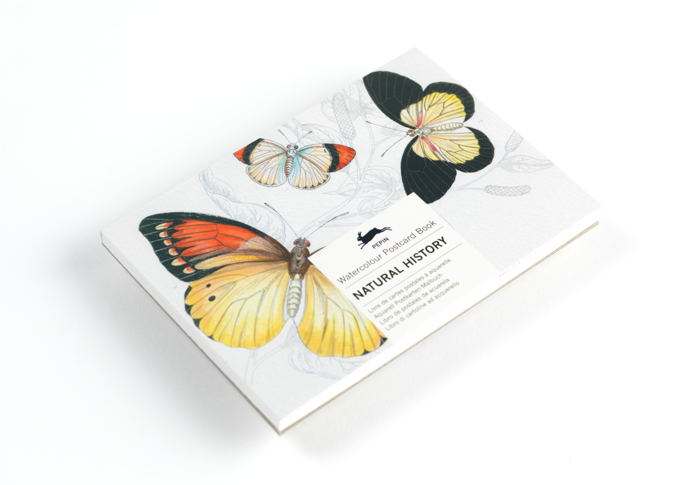 Cover: 9789460096365 | Natural History | Watercolour Postcard Book / Postkarten - Malbuch