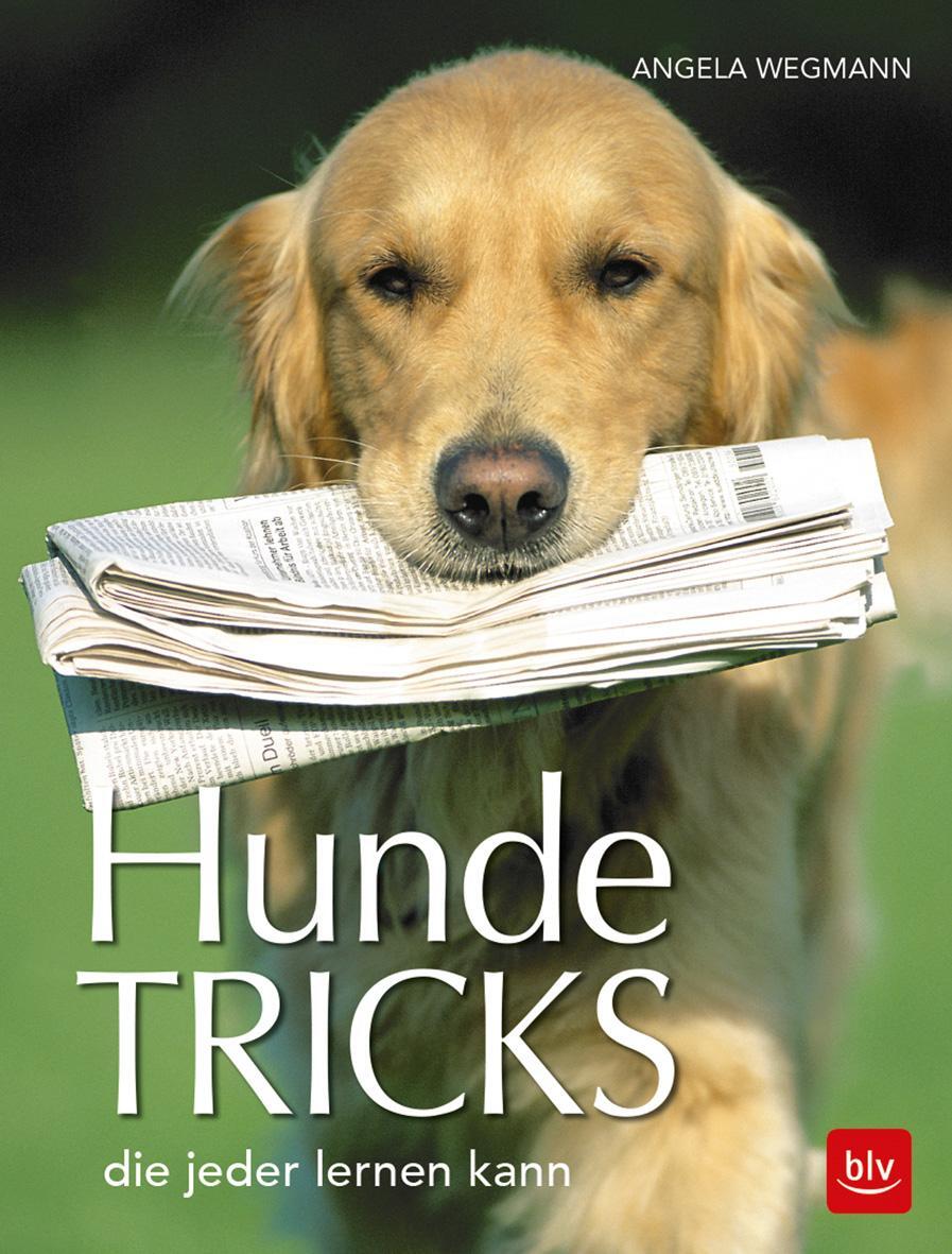 Cover: 9783835417847 | Hundetricks | die jeder lernen kann | Angela Wegmann | Taschenbuch