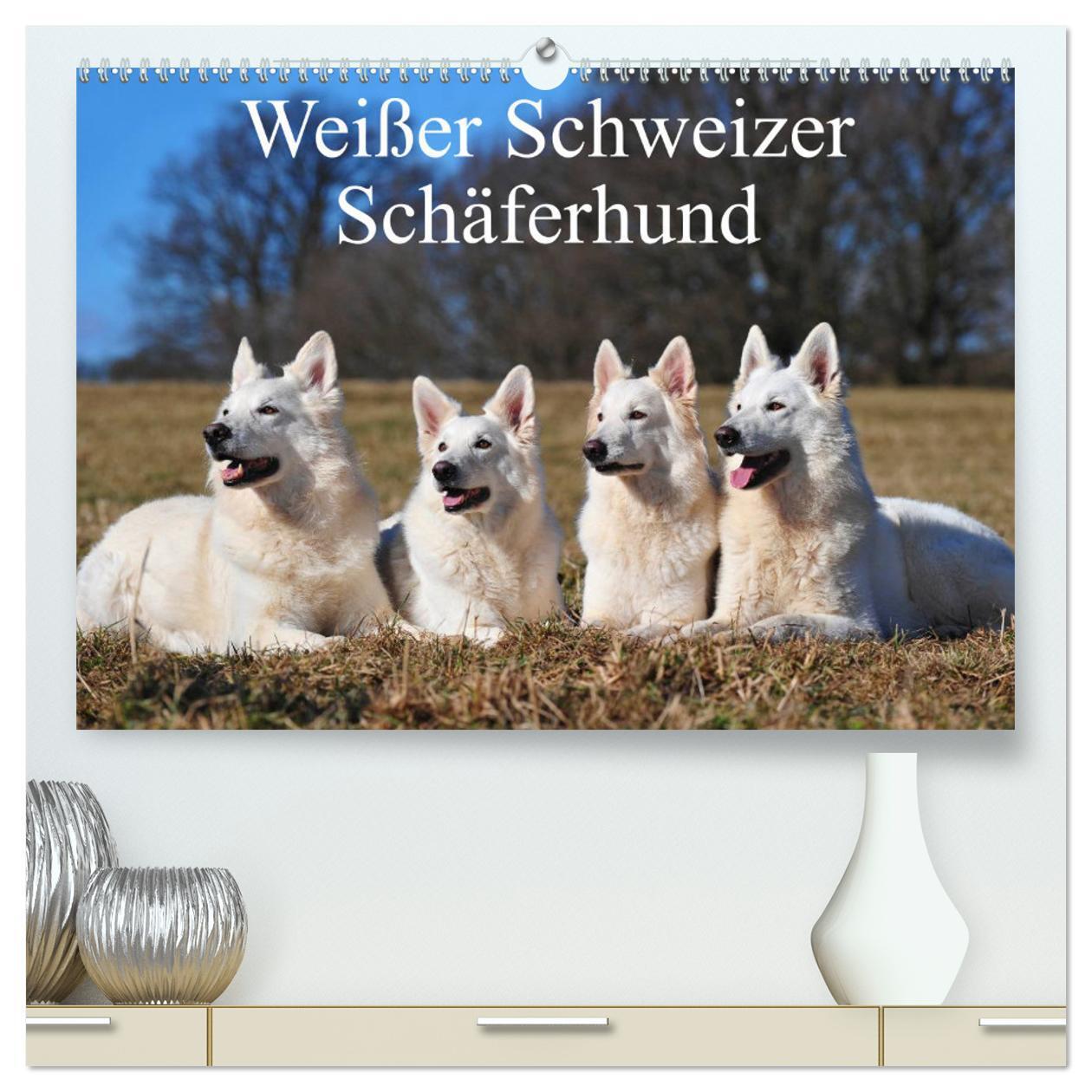 Cover: 9783675704268 | Weißer Schweizer Schäferhund (hochwertiger Premium Wandkalender...