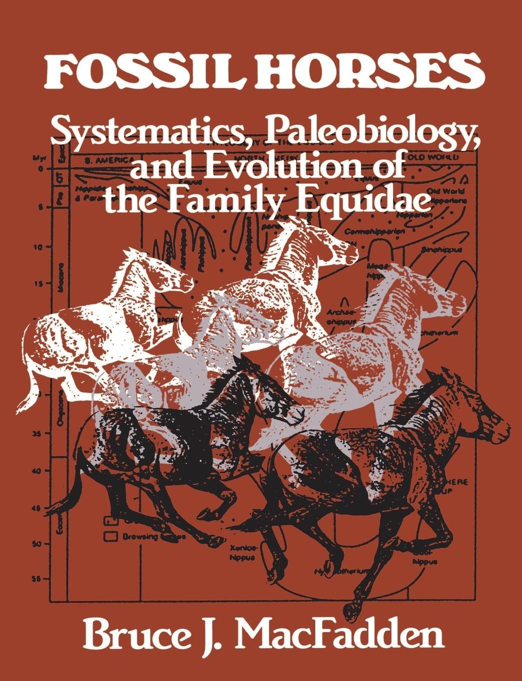 Cover: 9780521477086 | Fossil Horses | Bruce J. Macfadden | Taschenbuch | Paperback | 2003