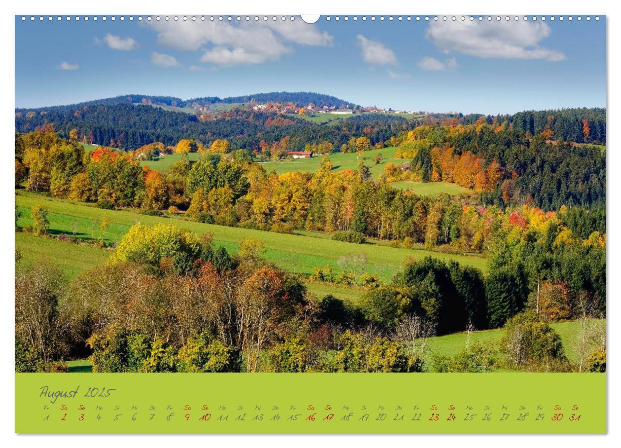 Bild: 9783435193530 | Der Bayerische Wald (Wandkalender 2025 DIN A2 quer), CALVENDO...