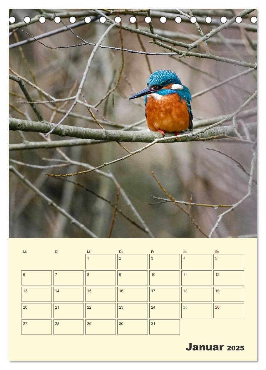 Bild: 9783435910656 | Vogelwelt an der Sieg (Tischkalender 2025 DIN A5 hoch), CALVENDO...