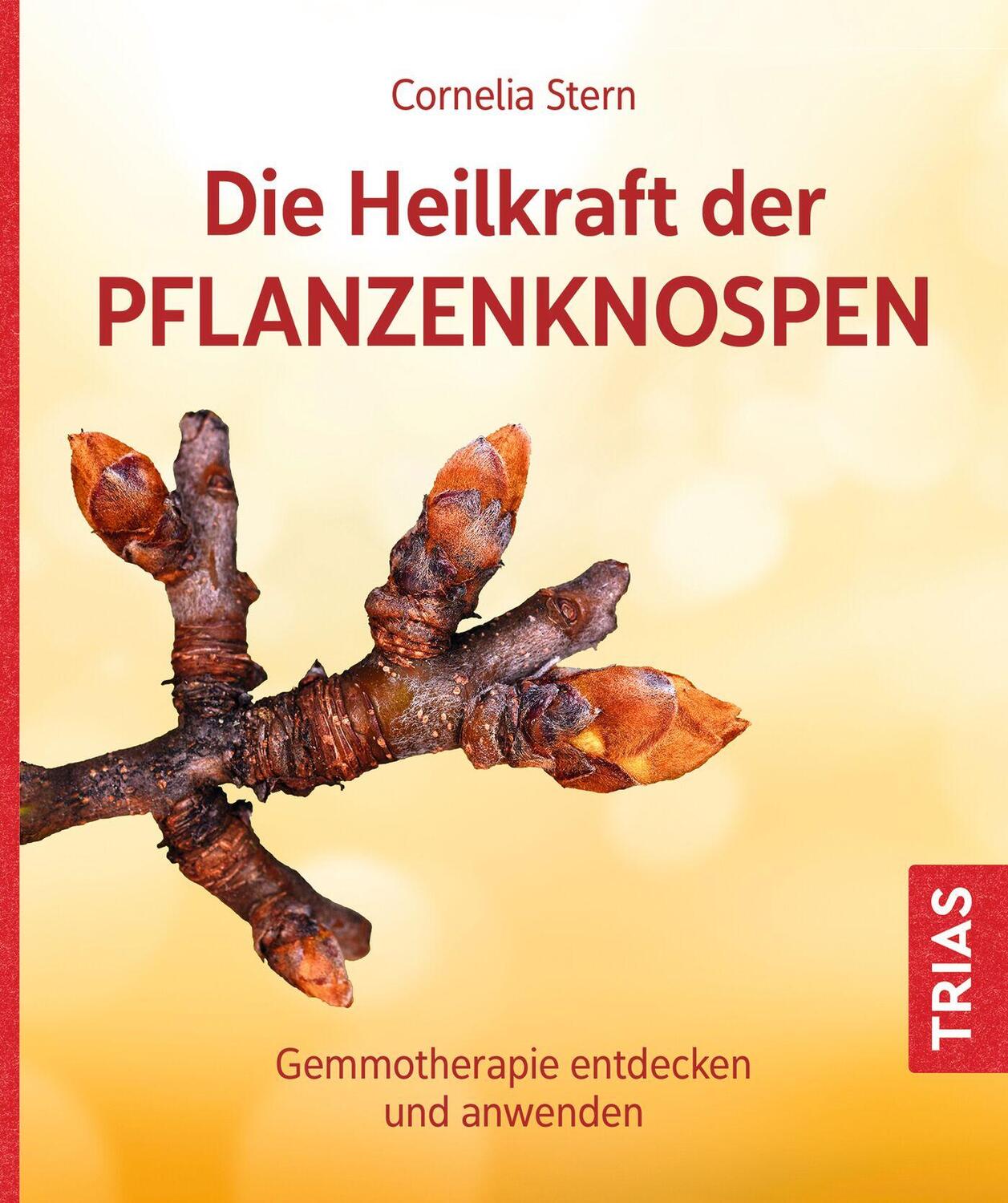 Cover: 9783432114699 | Die Heilkraft der Pflanzenknospen | Cornelia Stern | Taschenbuch