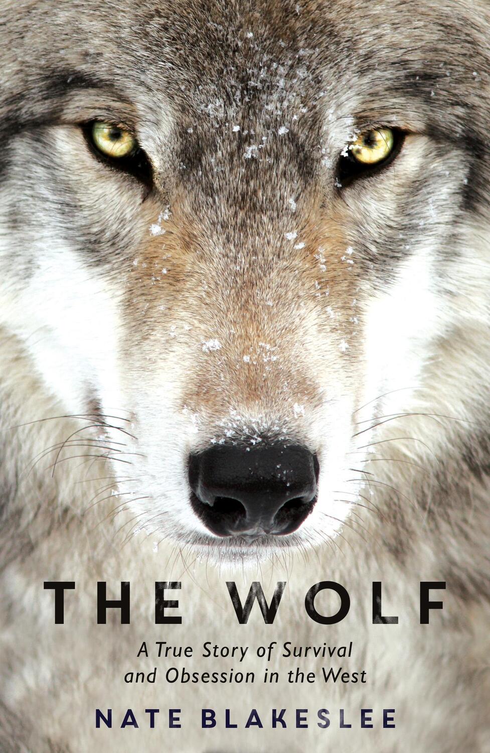 Cover: 9781786074072 | The Wolf | A True Story of Survival and Obsession in the West | Buch
