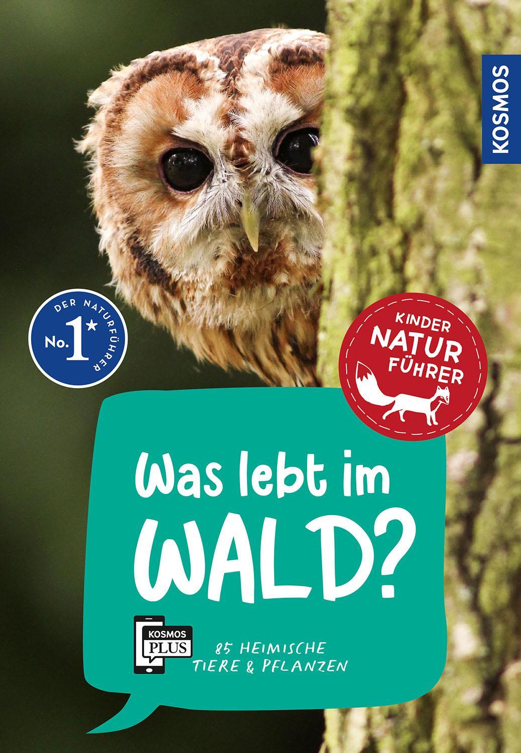 Cover: 9783440175750 | Was lebt im Wald? Kindernaturführer | Holger Haag | Taschenbuch | 2024