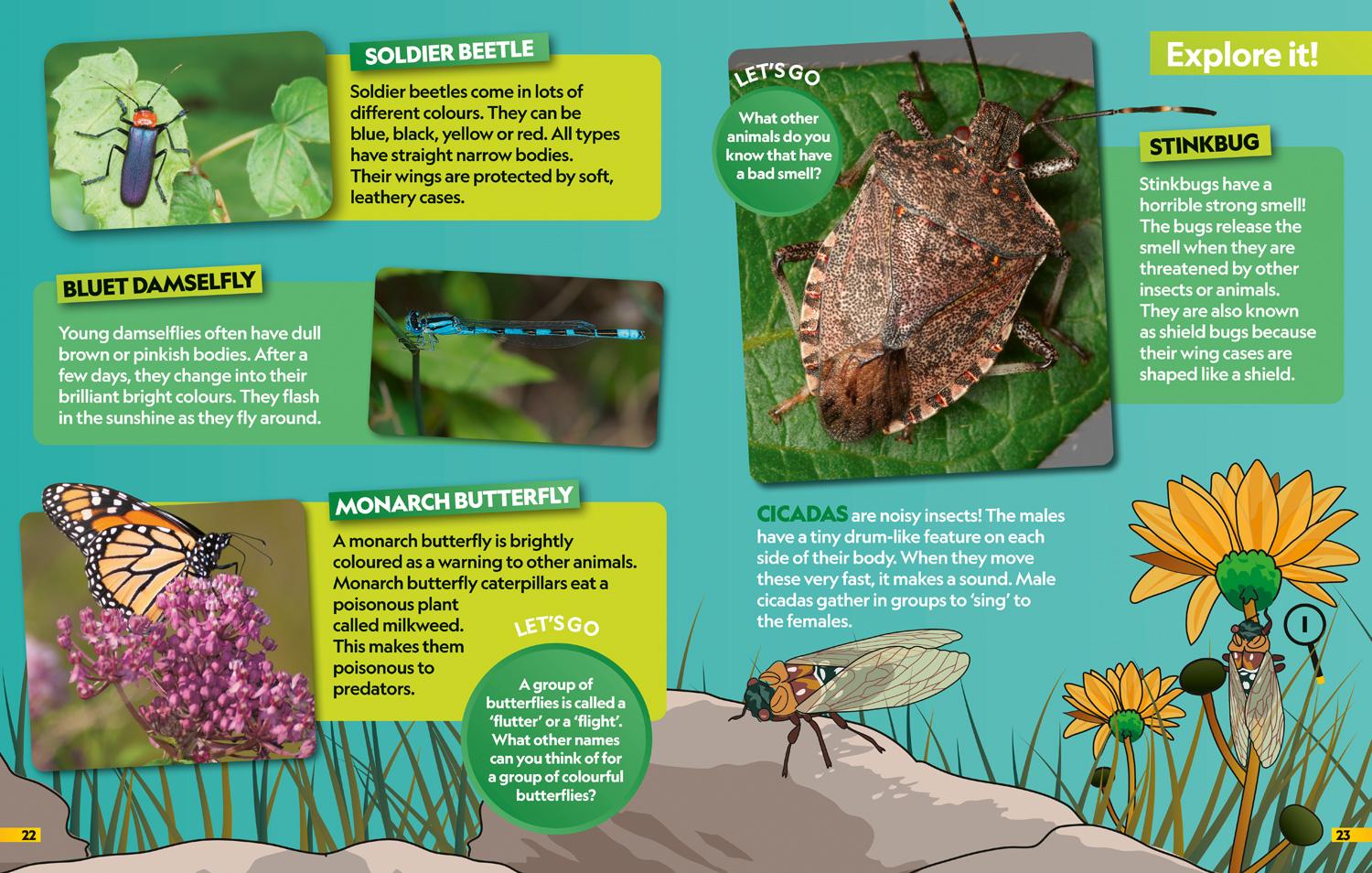 Bild: 9780008554378 | Insects Find it! Explore it! | National Geographic Kids | Taschenbuch