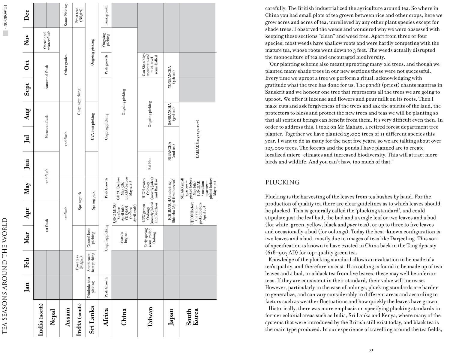 Bild: 9781911595229 | Tales of the Tea Trade | Michelle Comins (u. a.) | Buch | Gebunden