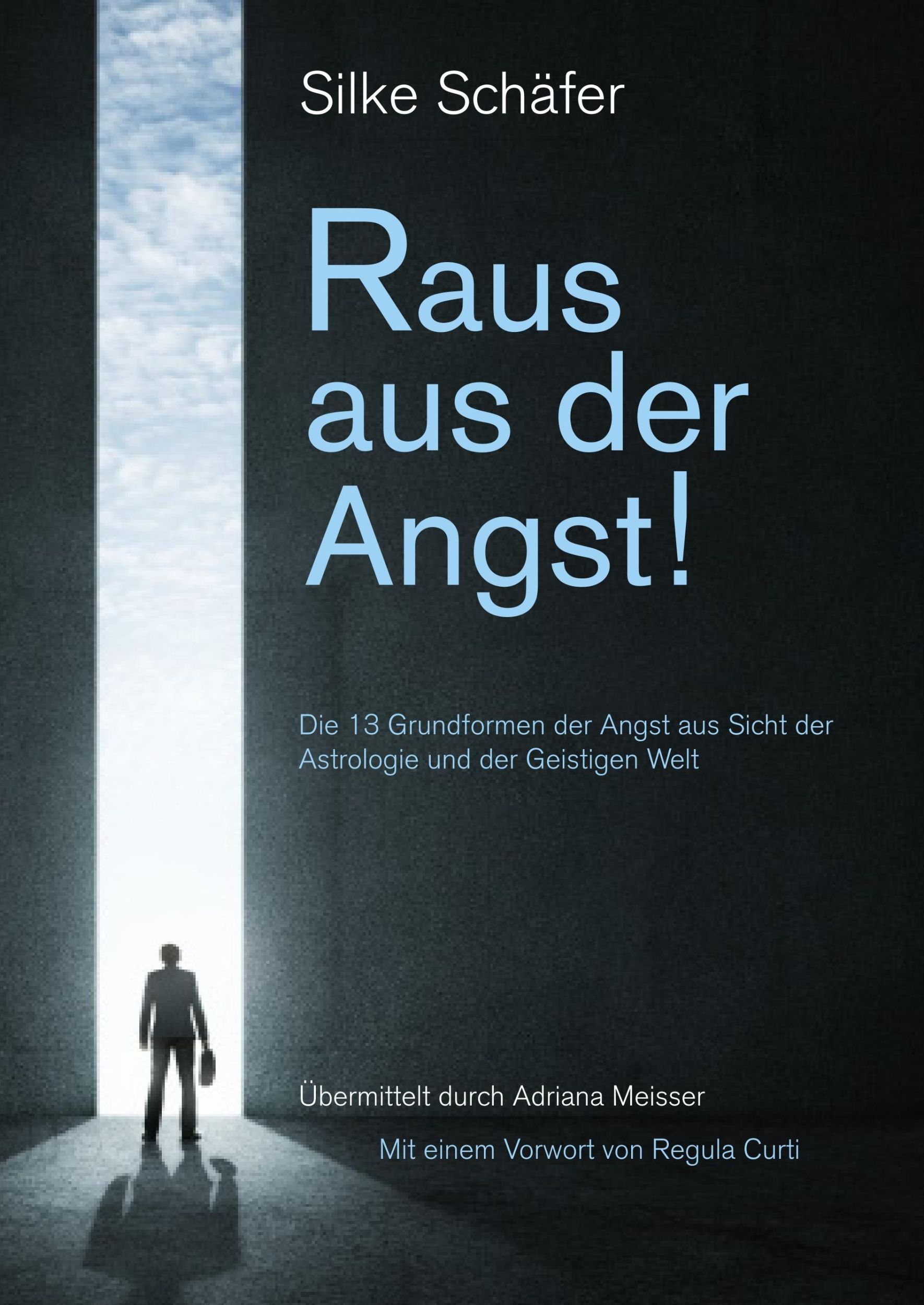 Cover: 9783752822236 | Raus aus der Angst! | Silke Schäfer | Buch | 332 S. | Deutsch | 2018